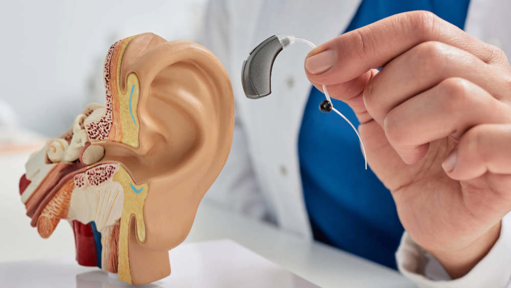 ¿Cuándo se considera pérdida auditiva y cómo se puede recuperar?